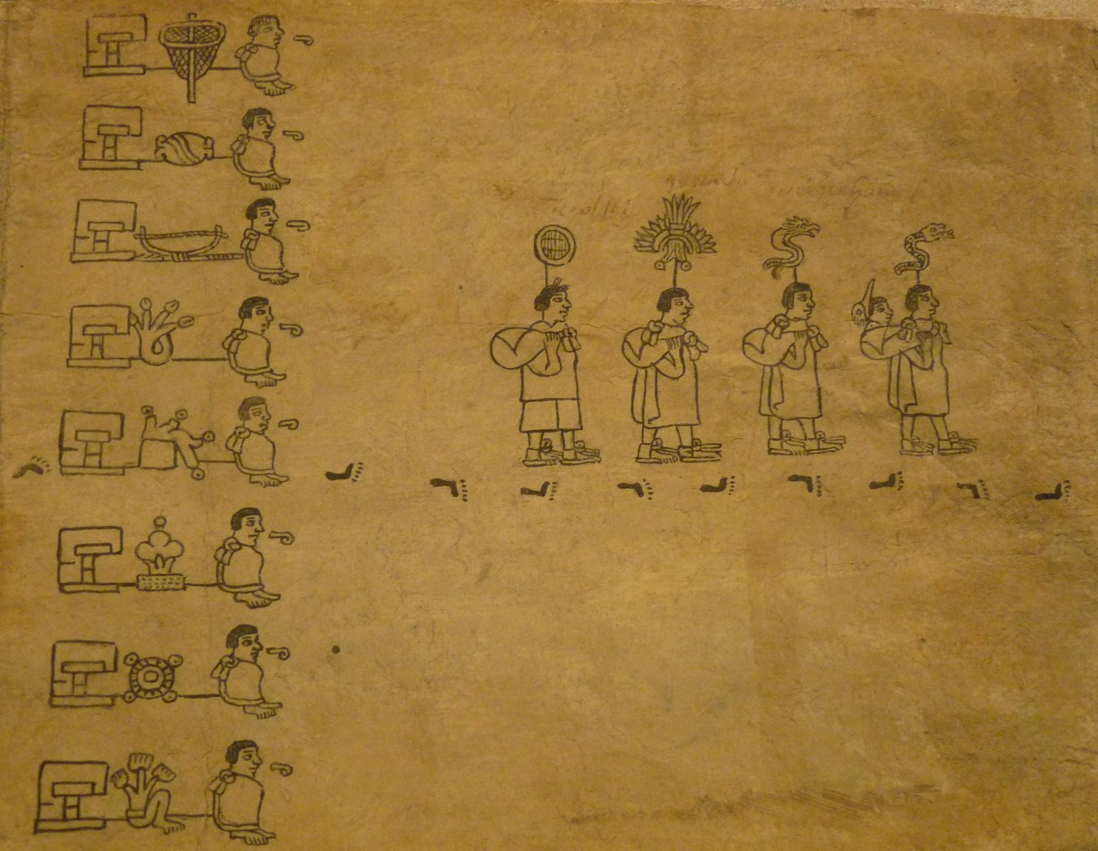 Eight tribes join